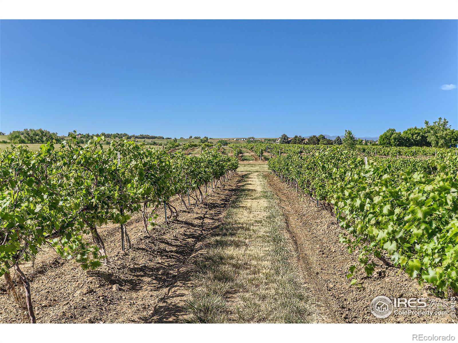 MLS Image #34 for 4480  hoot owl drive,berthoud, Colorado