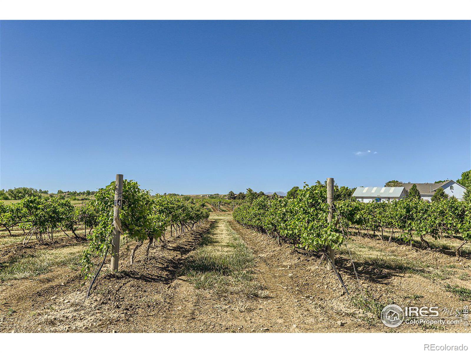 MLS Image #35 for 4480  hoot owl drive,berthoud, Colorado