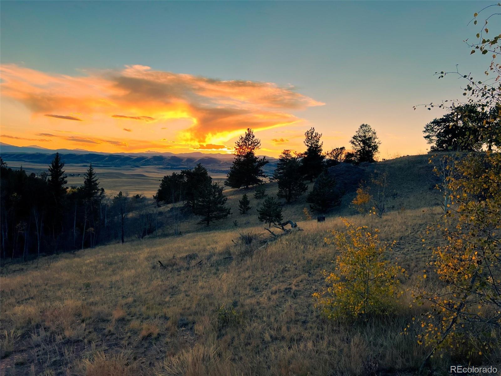 MLS Image #14 for 1403  caracara lane,jefferson, Colorado