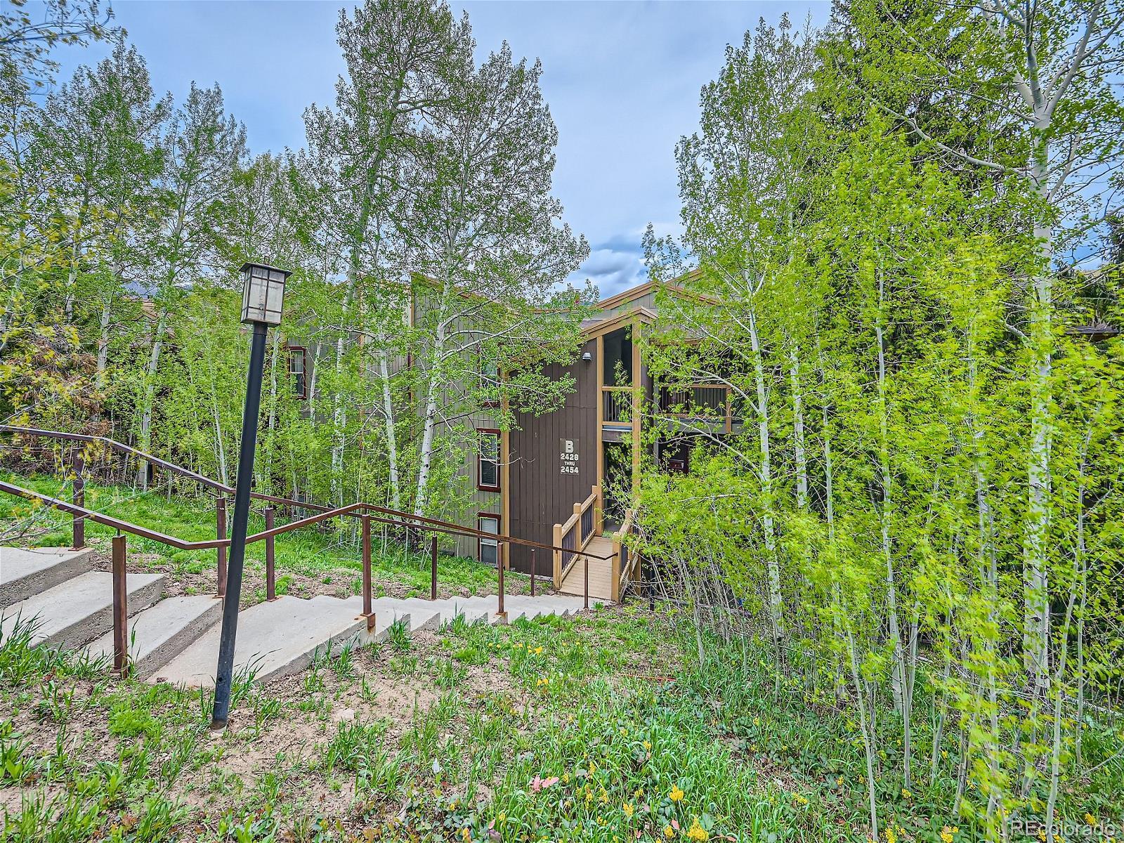 MLS Image #1 for 2435  ryan gulch court,silverthorne, Colorado