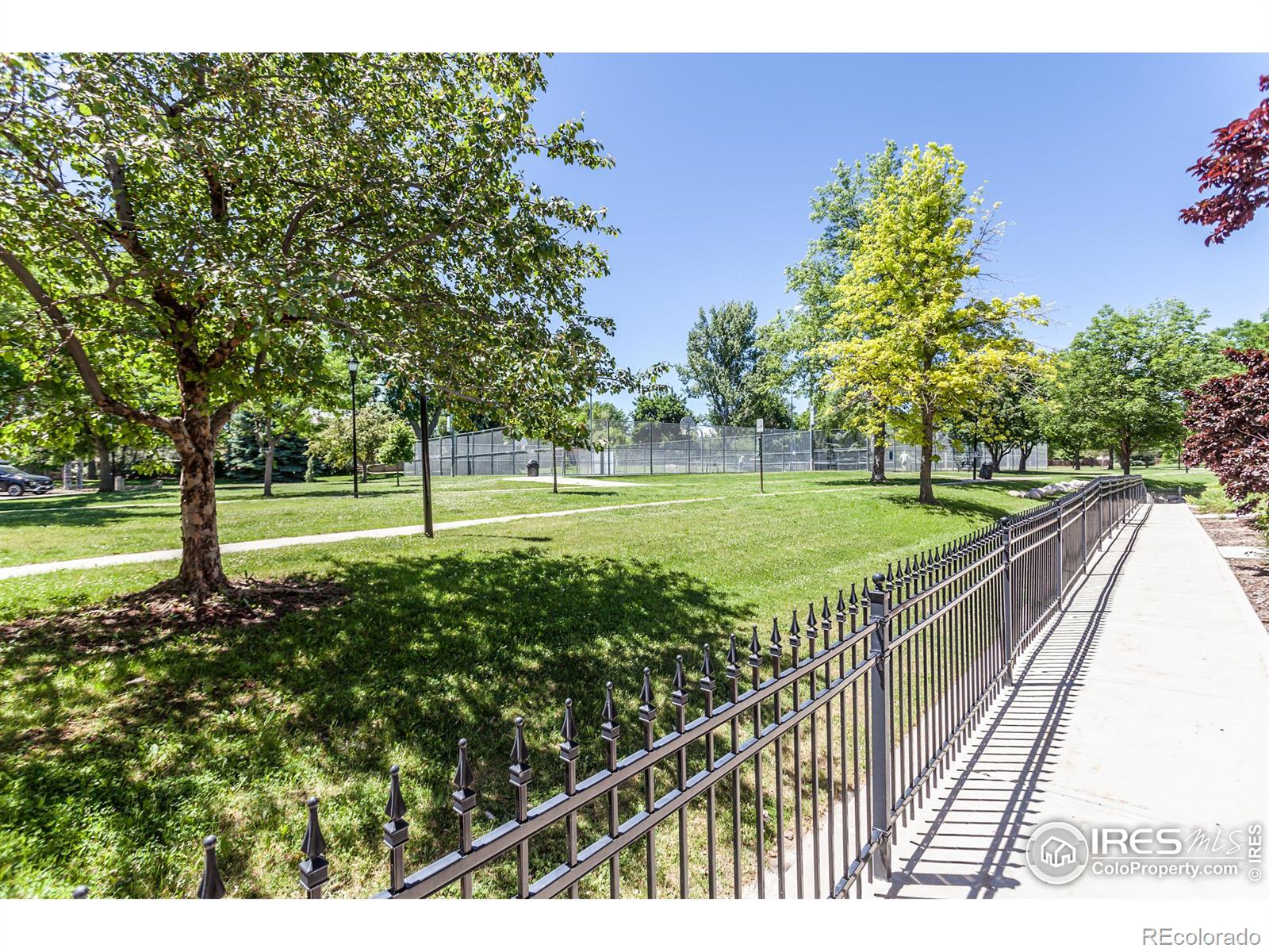 MLS Image #25 for 1379  charles drive,longmont, Colorado
