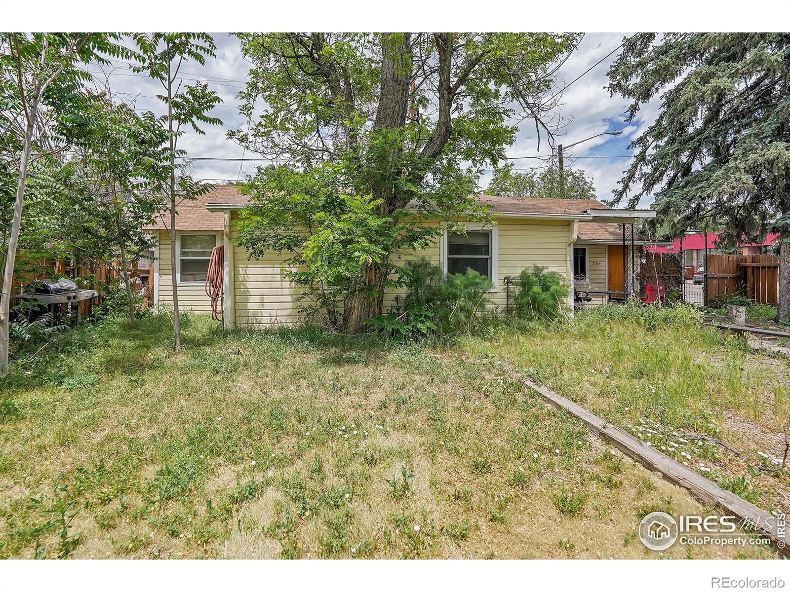 MLS Image #10 for 2345  walnut street,boulder, Colorado