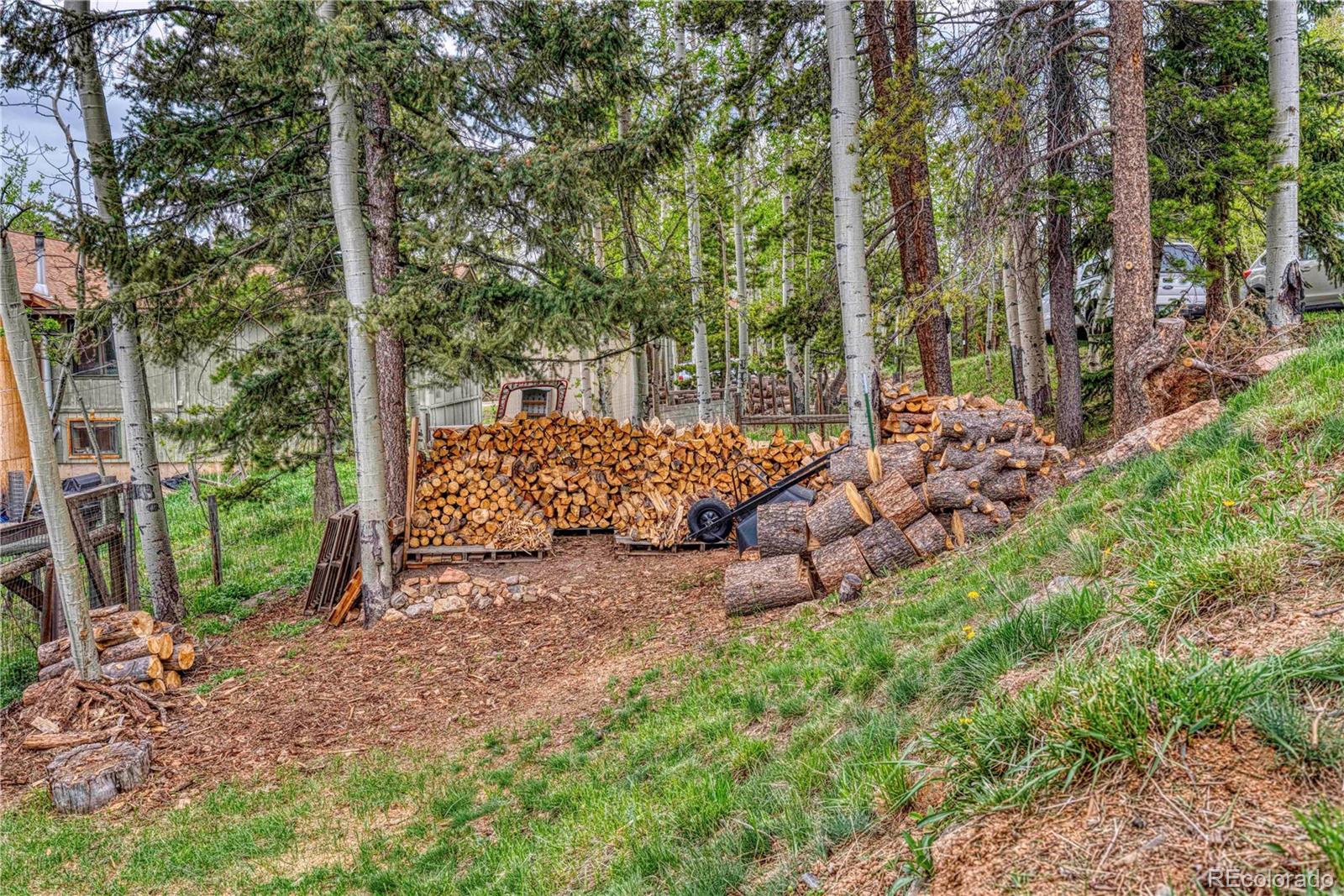 MLS Image #27 for 11594  green court,conifer, Colorado