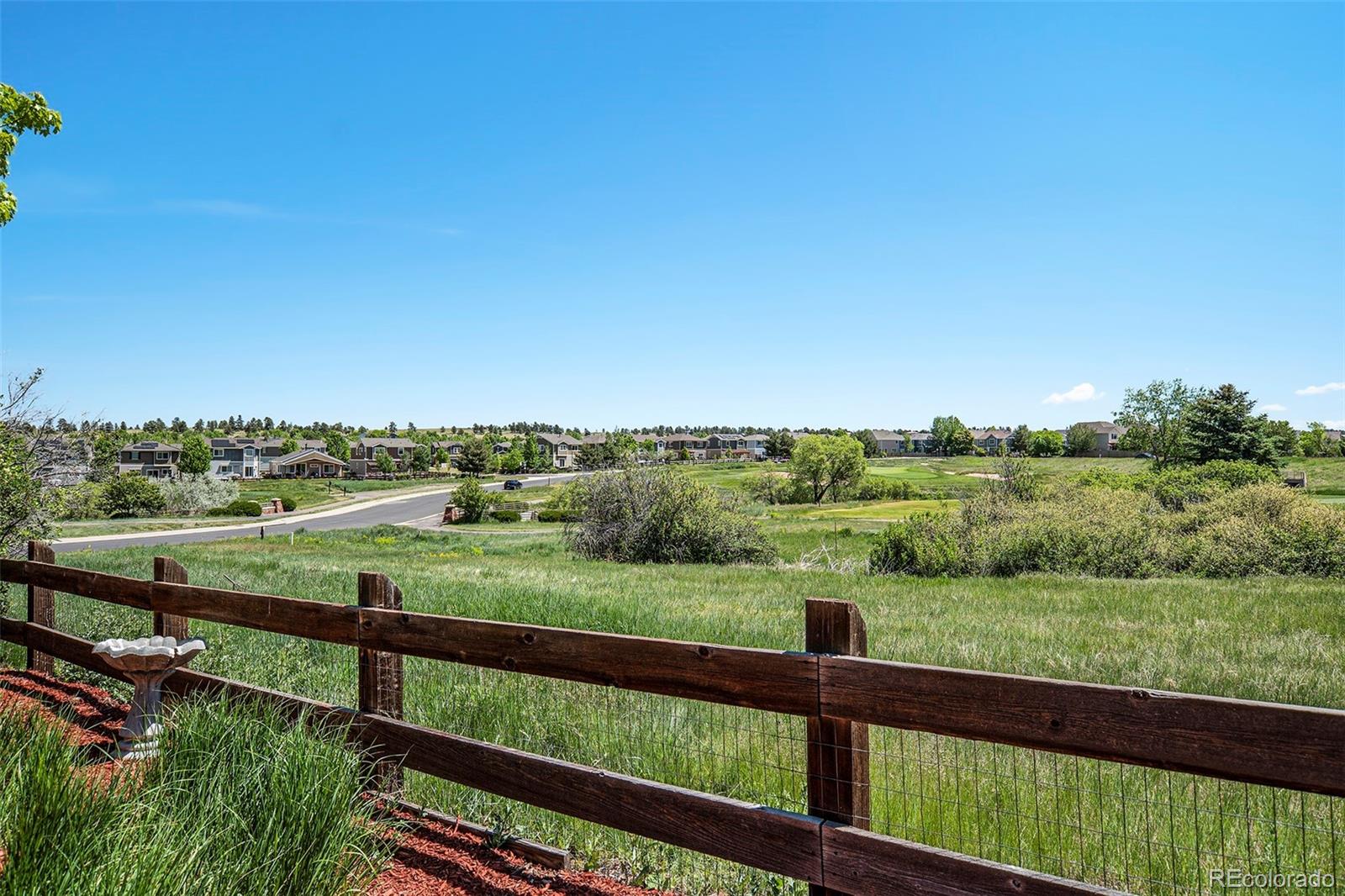 MLS Image #5 for 23650 e maple hills avenue,parker, Colorado