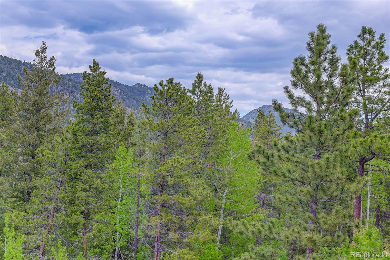 MLS Image #43 for 33400  retrievers trail,golden, Colorado