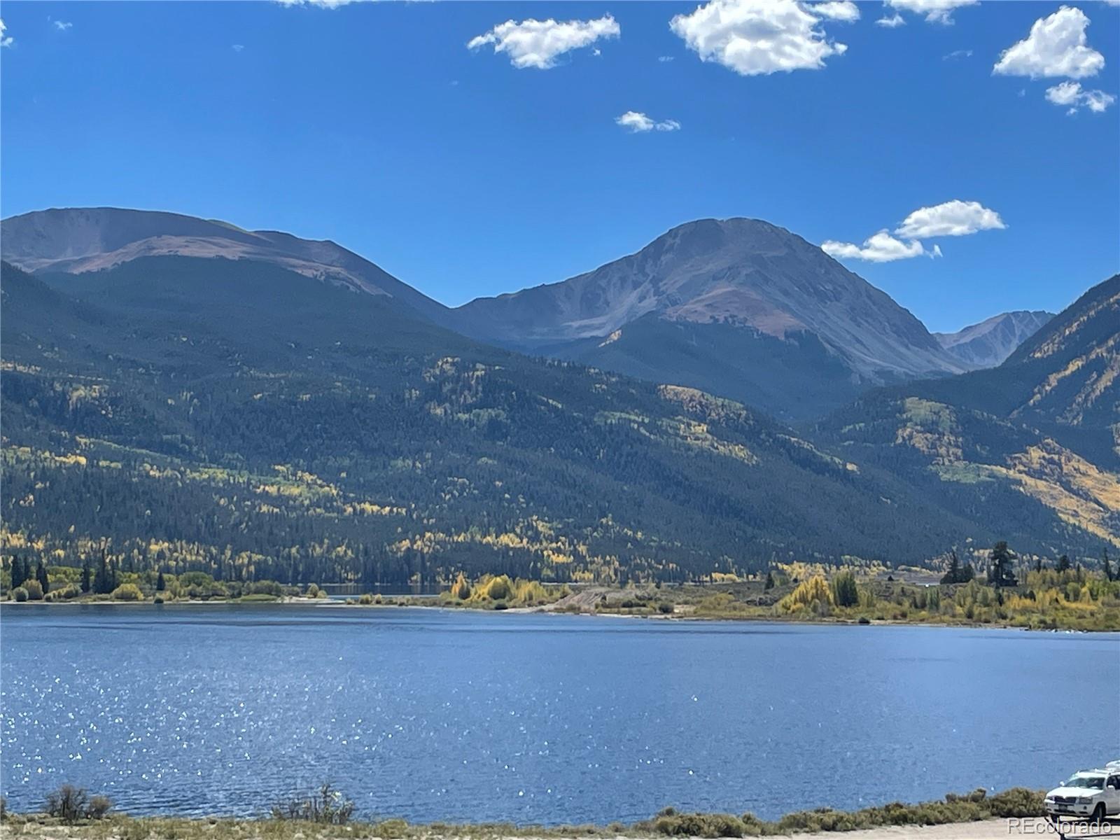 MLS Image #3 for 1525 s highway 24 ,twin lakes, Colorado