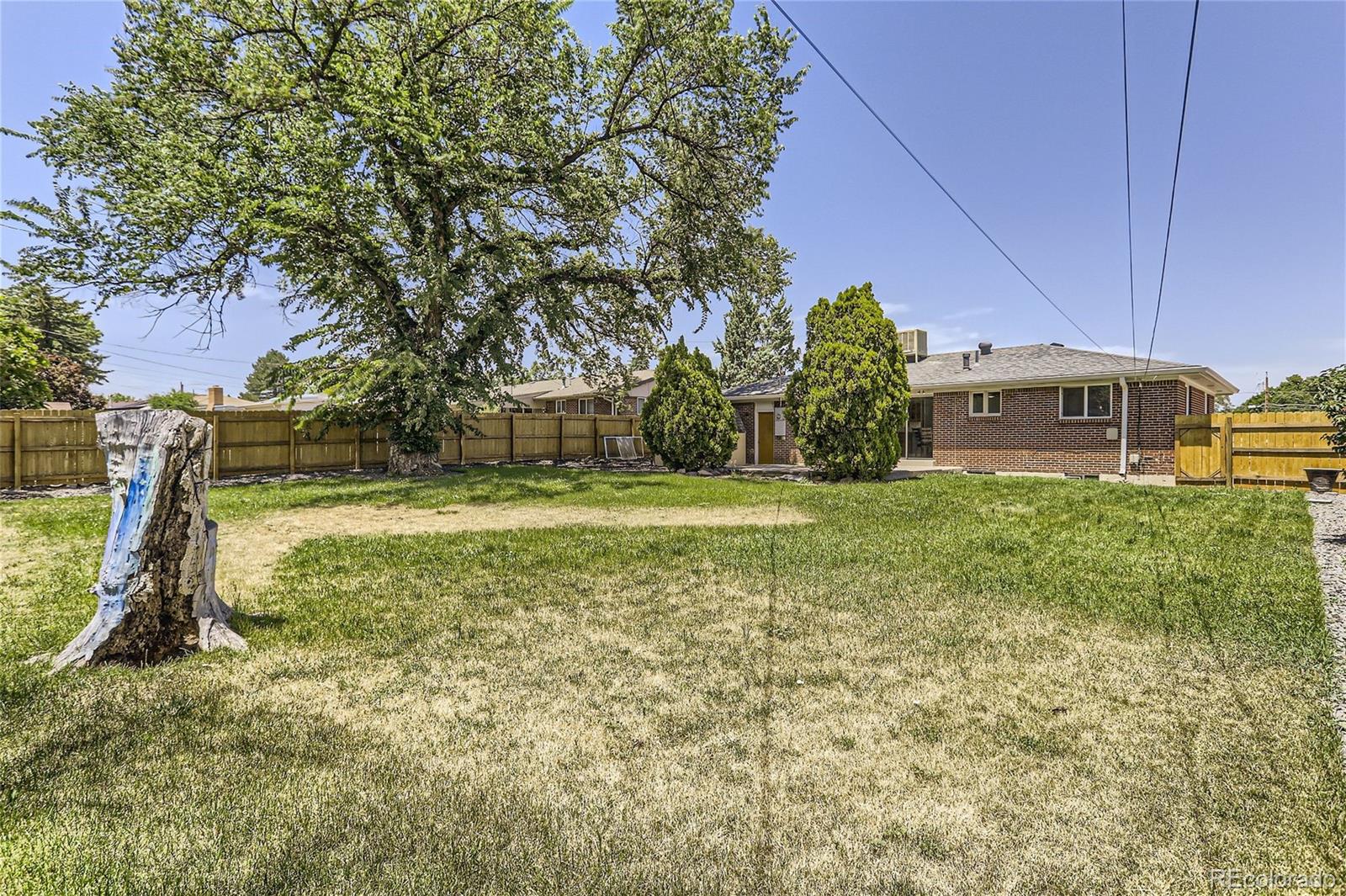 MLS Image #22 for 1000  marigold drive,denver, Colorado