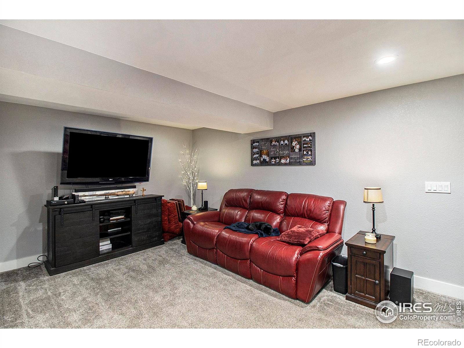 MLS Image #22 for 1434  hickory drive,erie, Colorado