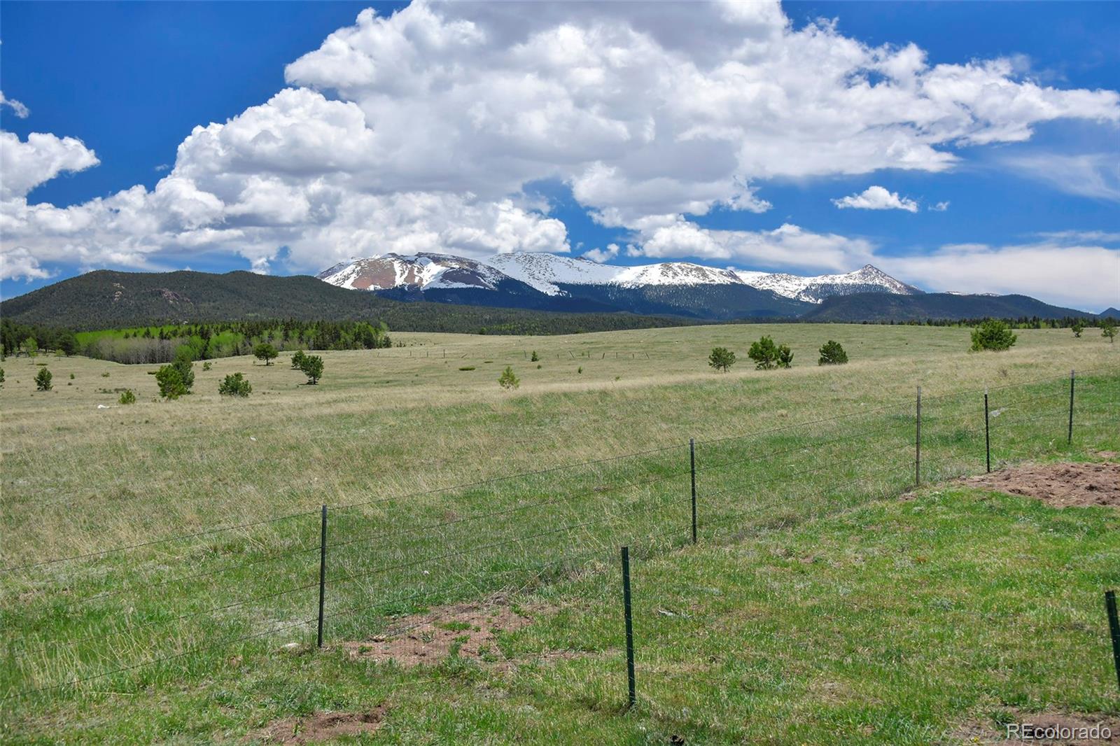 MLS Image #2 for 338  doublet ,divide, Colorado