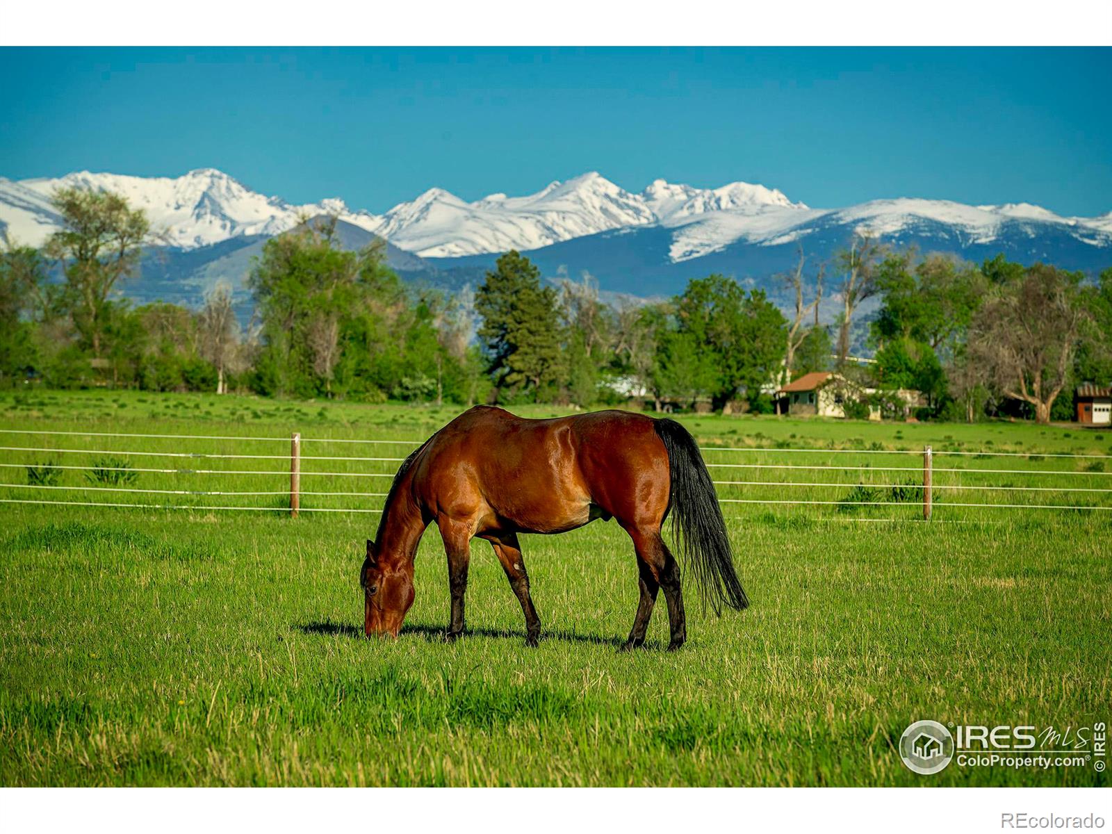 MLS Image #6 for 2300 n 75th street,boulder, Colorado