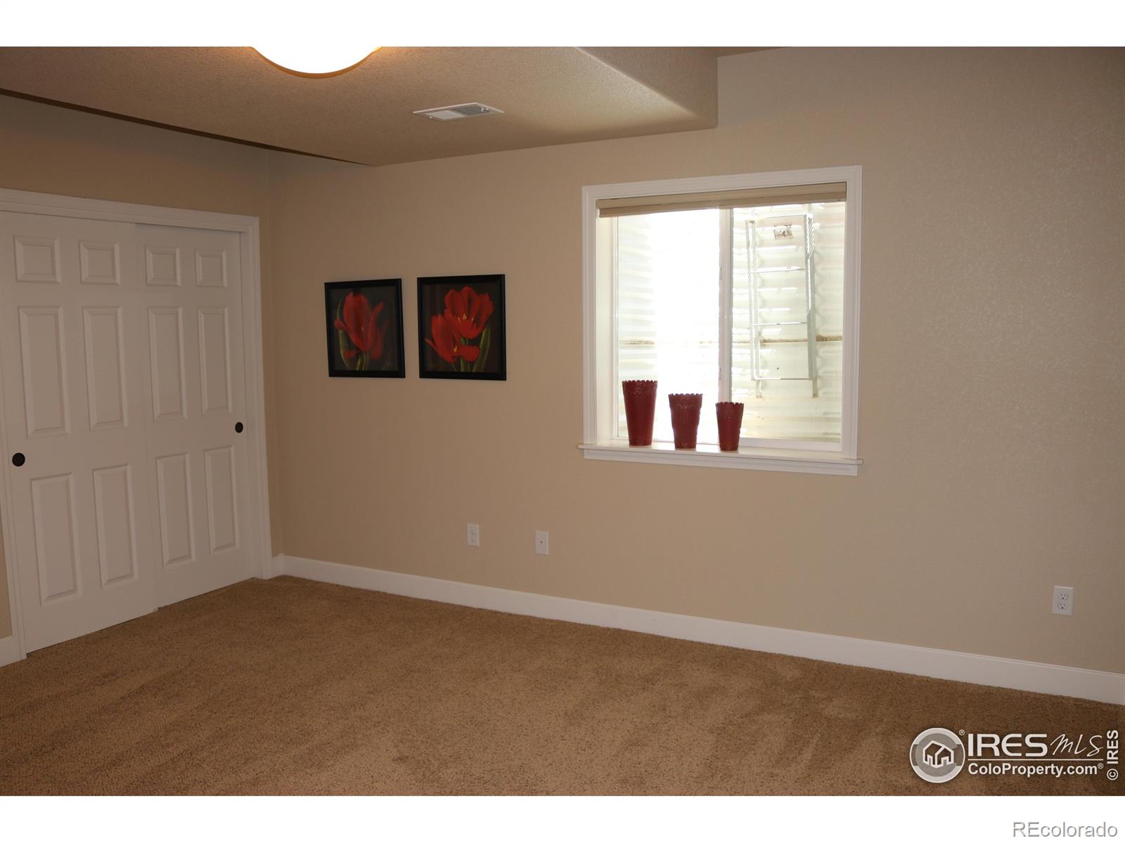 MLS Image #33 for 1679  green river drive,windsor, Colorado