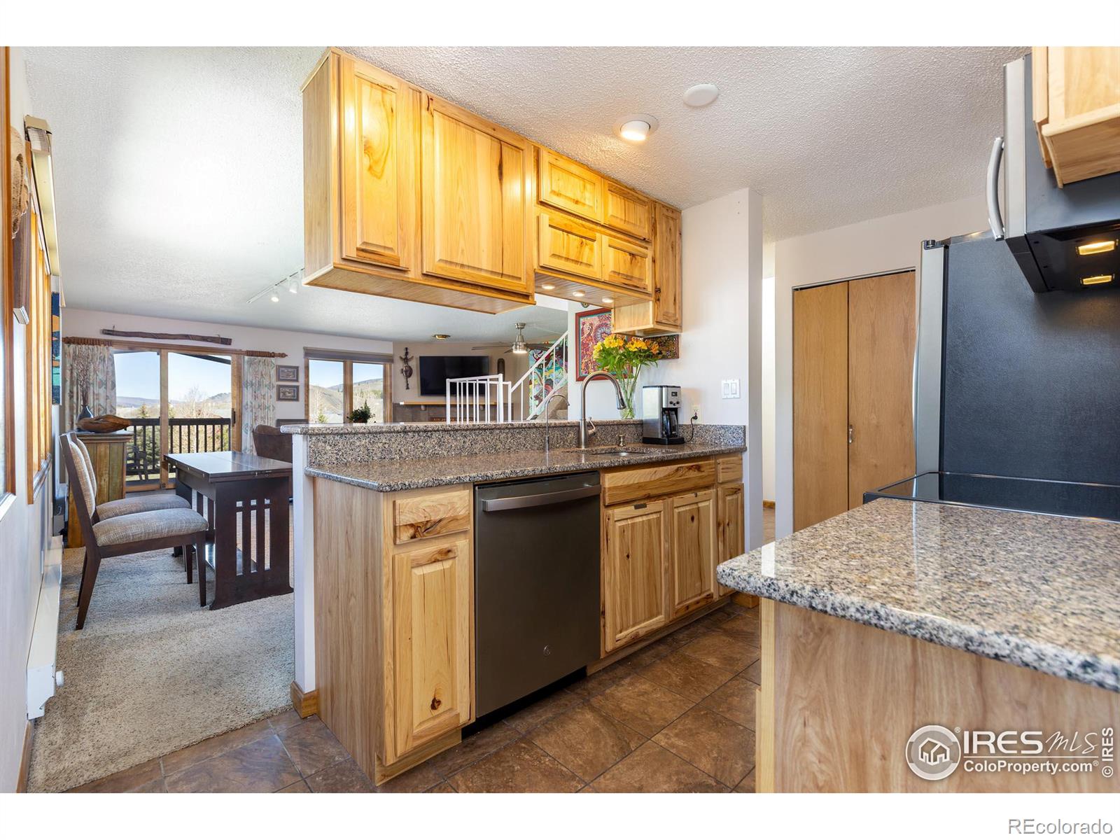 MLS Image #3 for 56  cove boulevard,dillon, Colorado