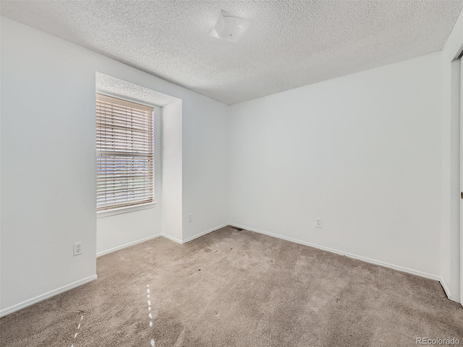 MLS Image #19 for 19142 e 46th avenue,denver, Colorado