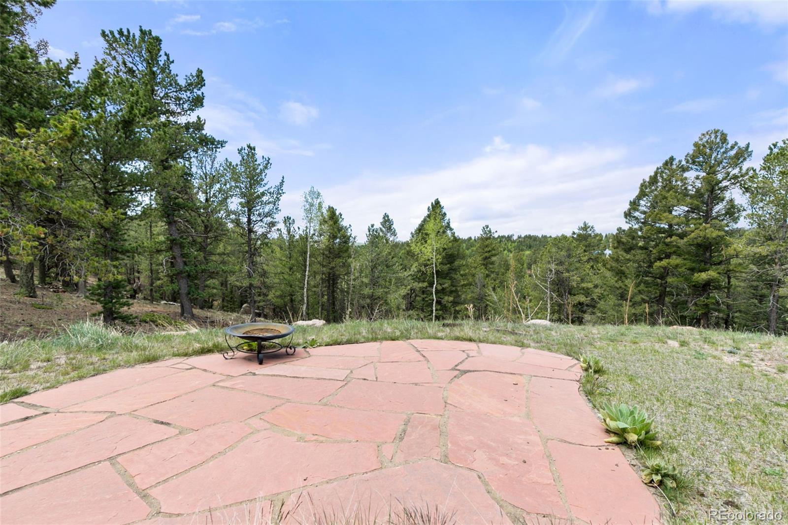 MLS Image #42 for 252  running elk point,divide, Colorado