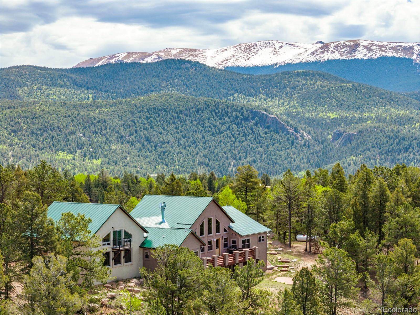 MLS Image #44 for 252  running elk point,divide, Colorado