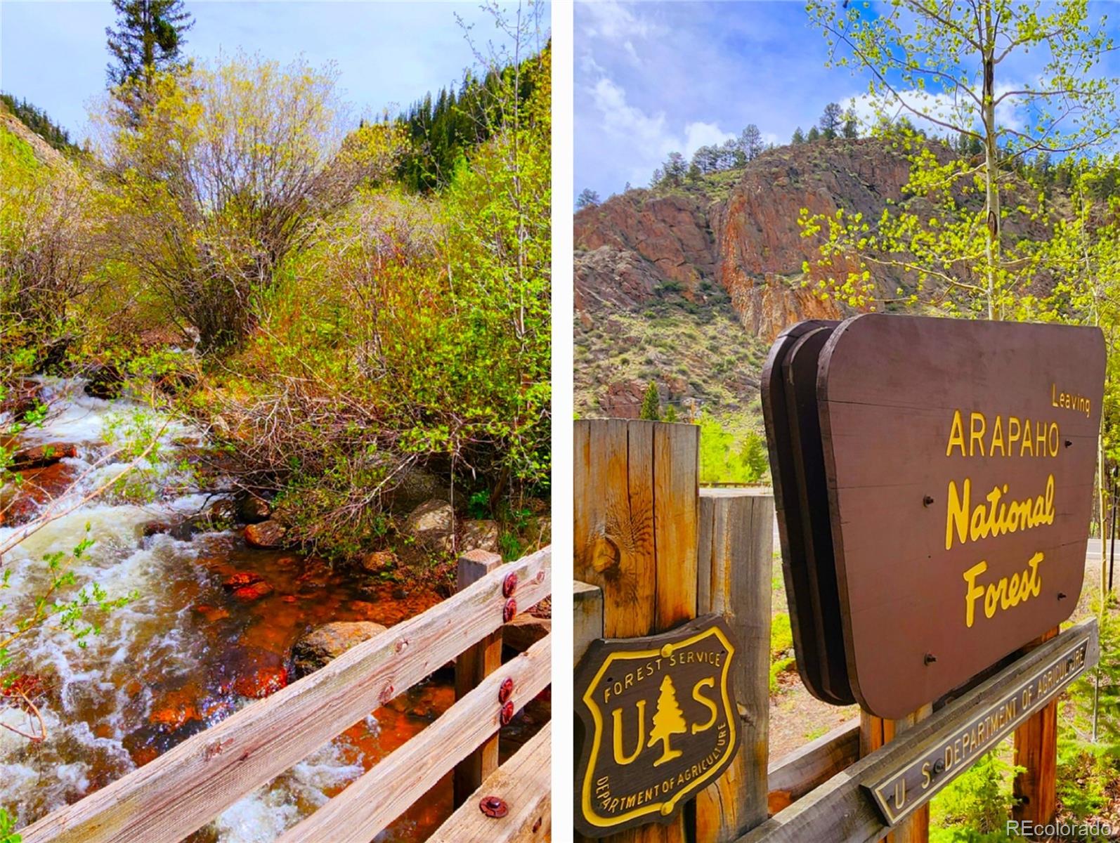 MLS Image #5 for 6759  colorado 103 ,idaho springs, Colorado