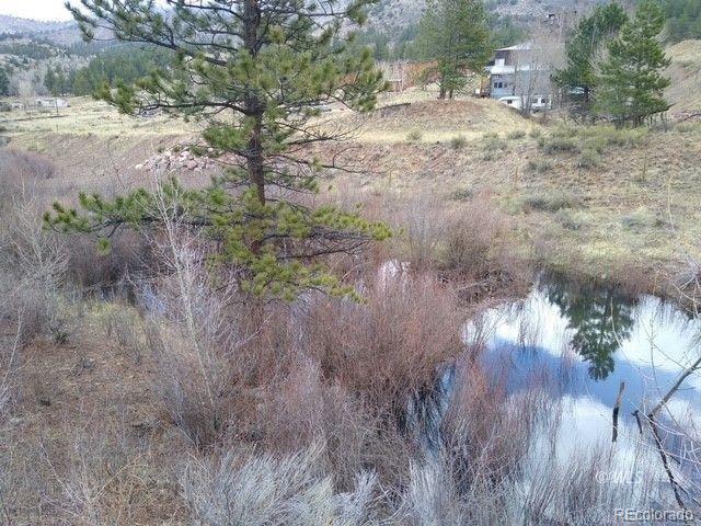 MLS Image #18 for 1785  tibby trail,westcliffe, Colorado