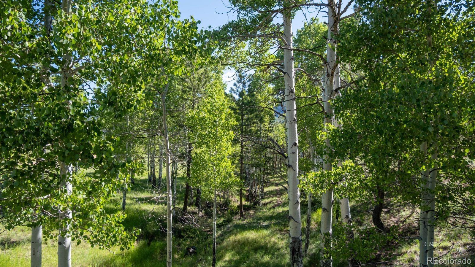 MLS Image #19 for 1785  tibby trail,westcliffe, Colorado