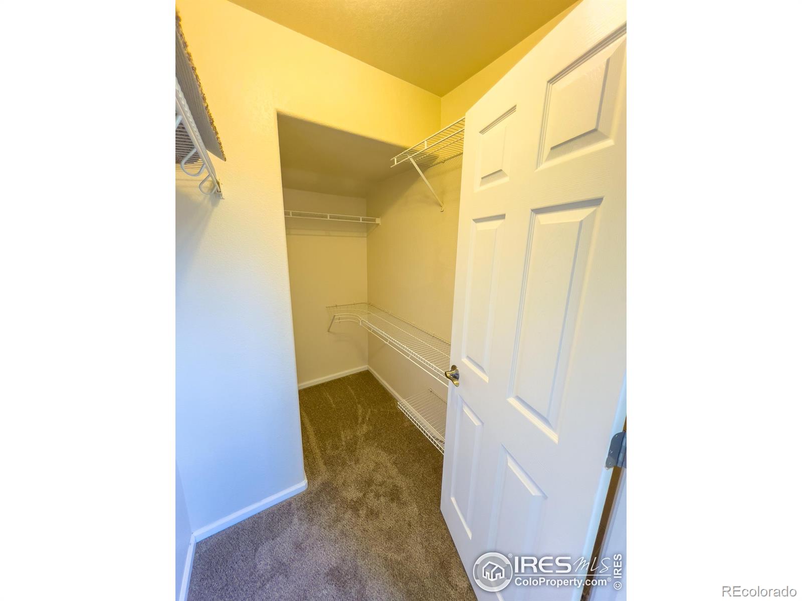 MLS Image #21 for 1601  great western drive,longmont, Colorado