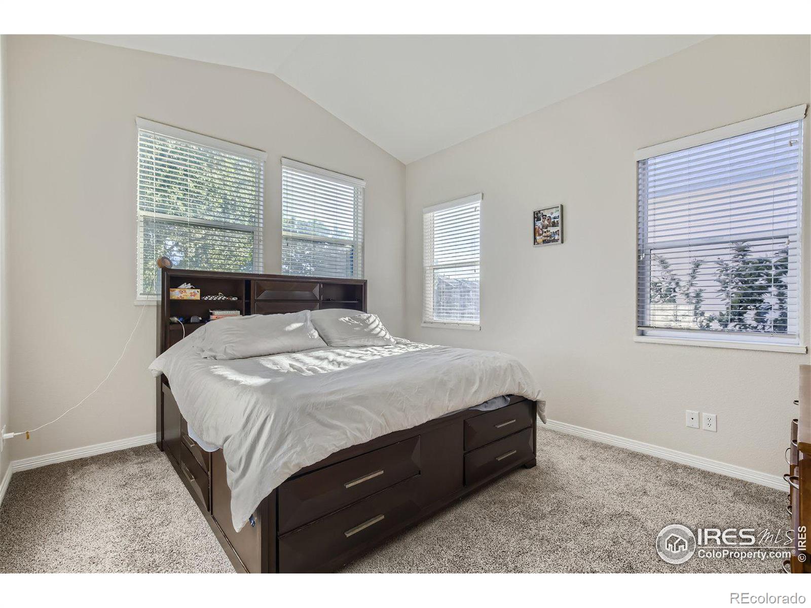 MLS Image #13 for 2515  custer drive,fort collins, Colorado