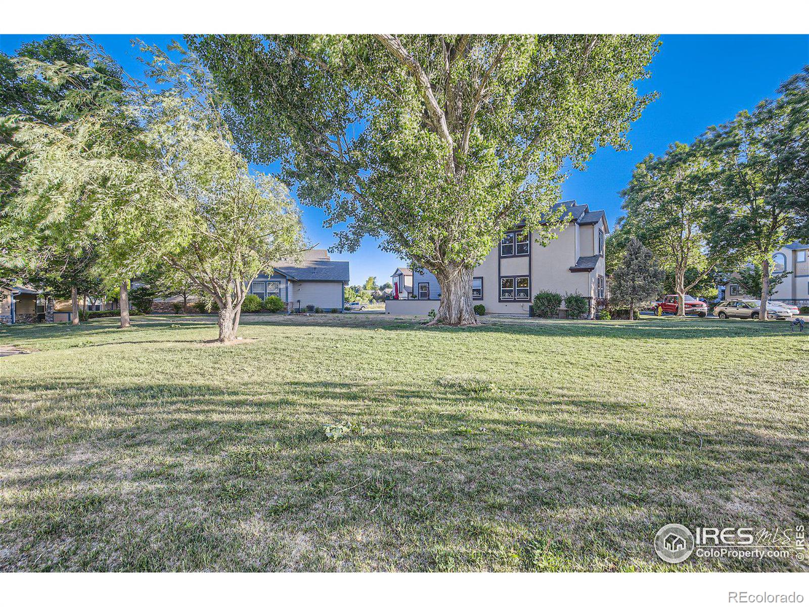 MLS Image #26 for 2515  custer drive,fort collins, Colorado