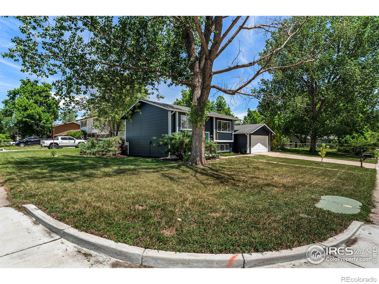 MLS Image #1 for 2408  orchard place,fort collins, Colorado