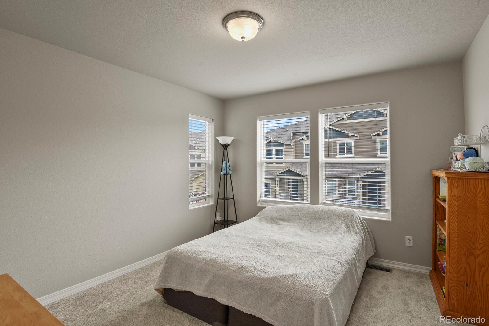 MLS Image #20 for 4046  tiberias point,colorado springs, Colorado