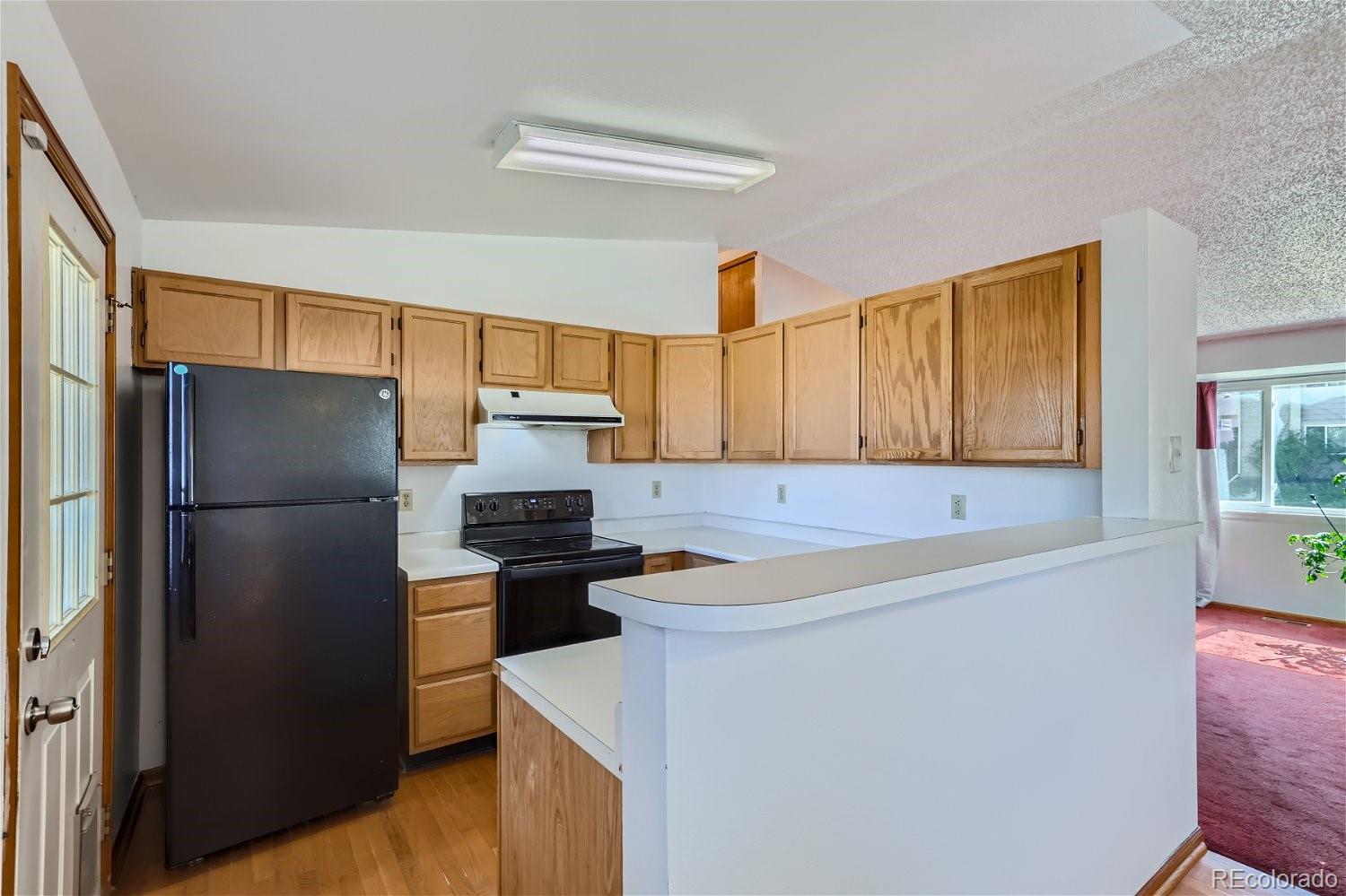 MLS Image #6 for 4374  nepal street,denver, Colorado