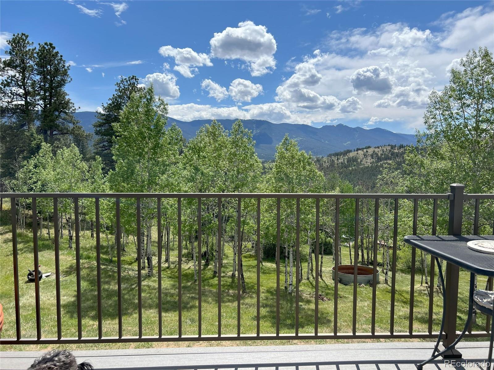 MLS Image #30 for 72  pine hollow road,bailey, Colorado