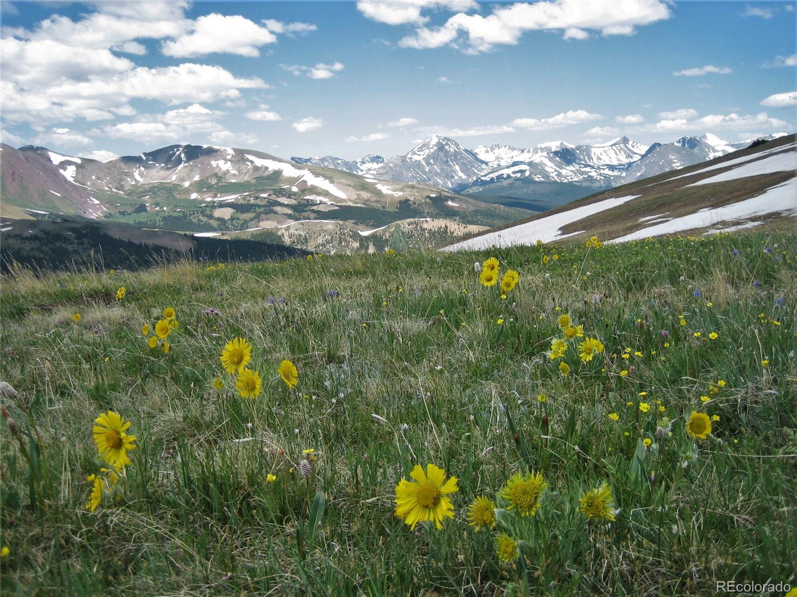 MLS Image #46 for 555 s park avenue 2202,breckenridge, Colorado