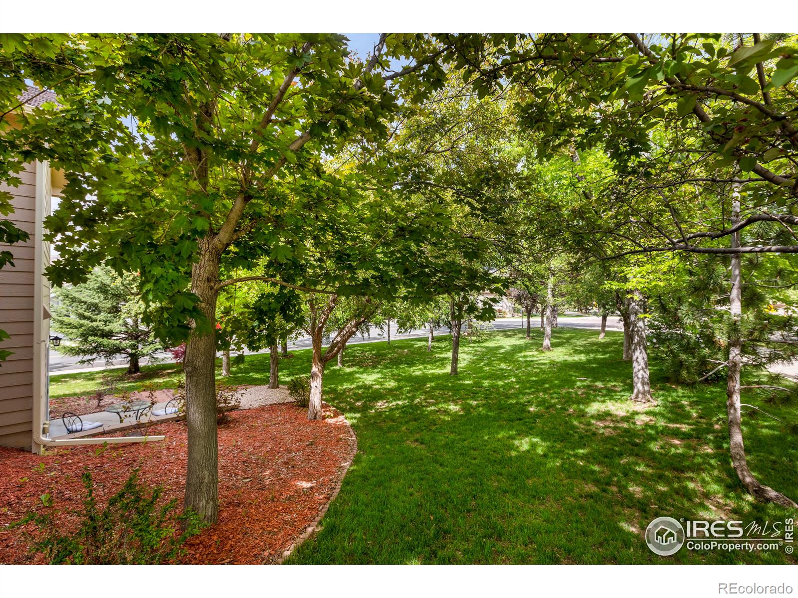 MLS Image #30 for 727  rossum drive,loveland, Colorado