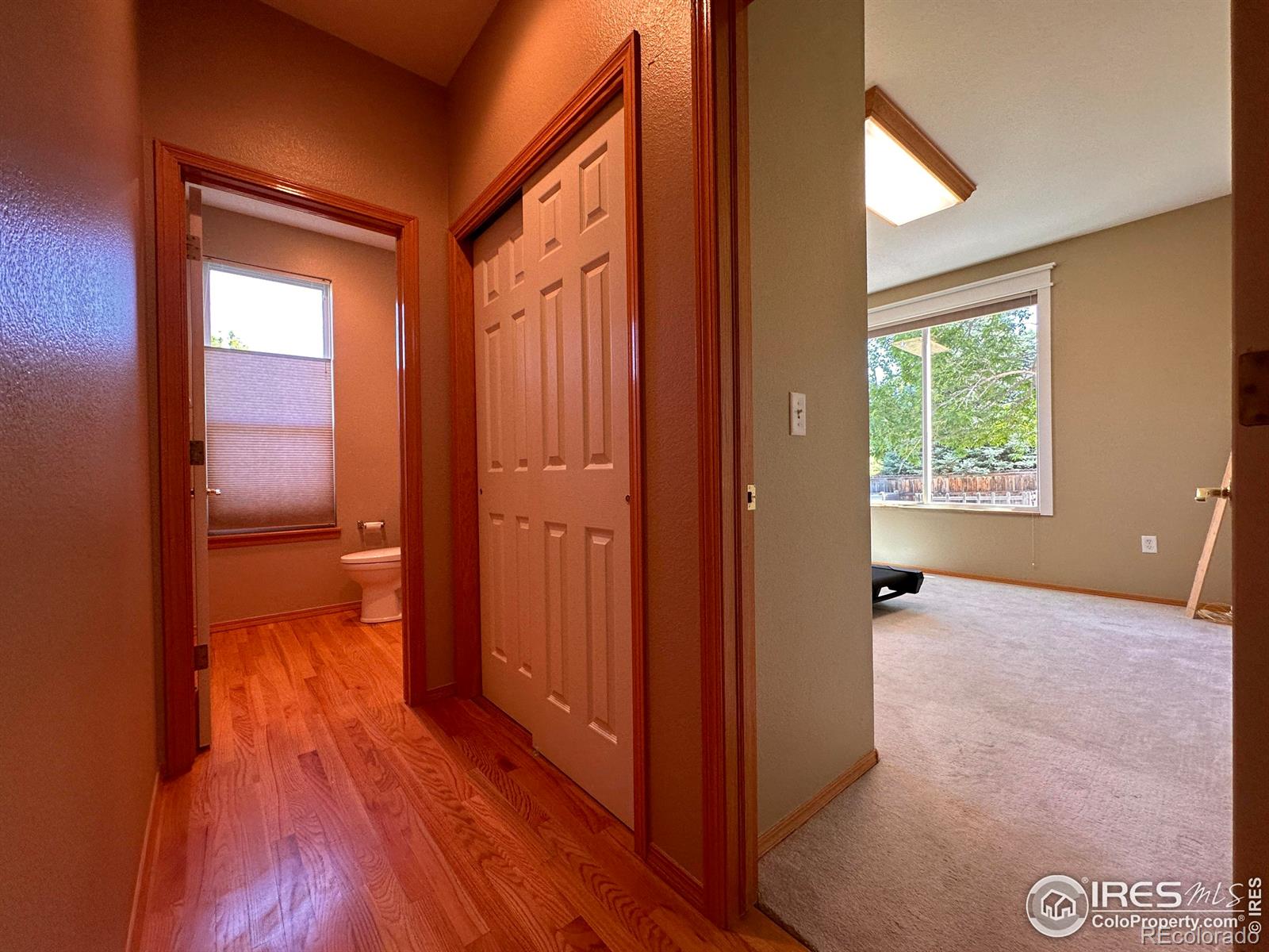 MLS Image #15 for 1414  leahy drive,fort collins, Colorado