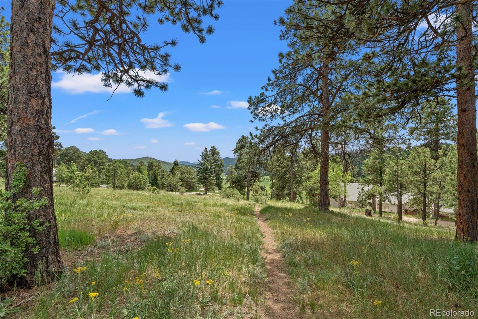 MLS Image #36 for 24858  stanley park road,evergreen, Colorado