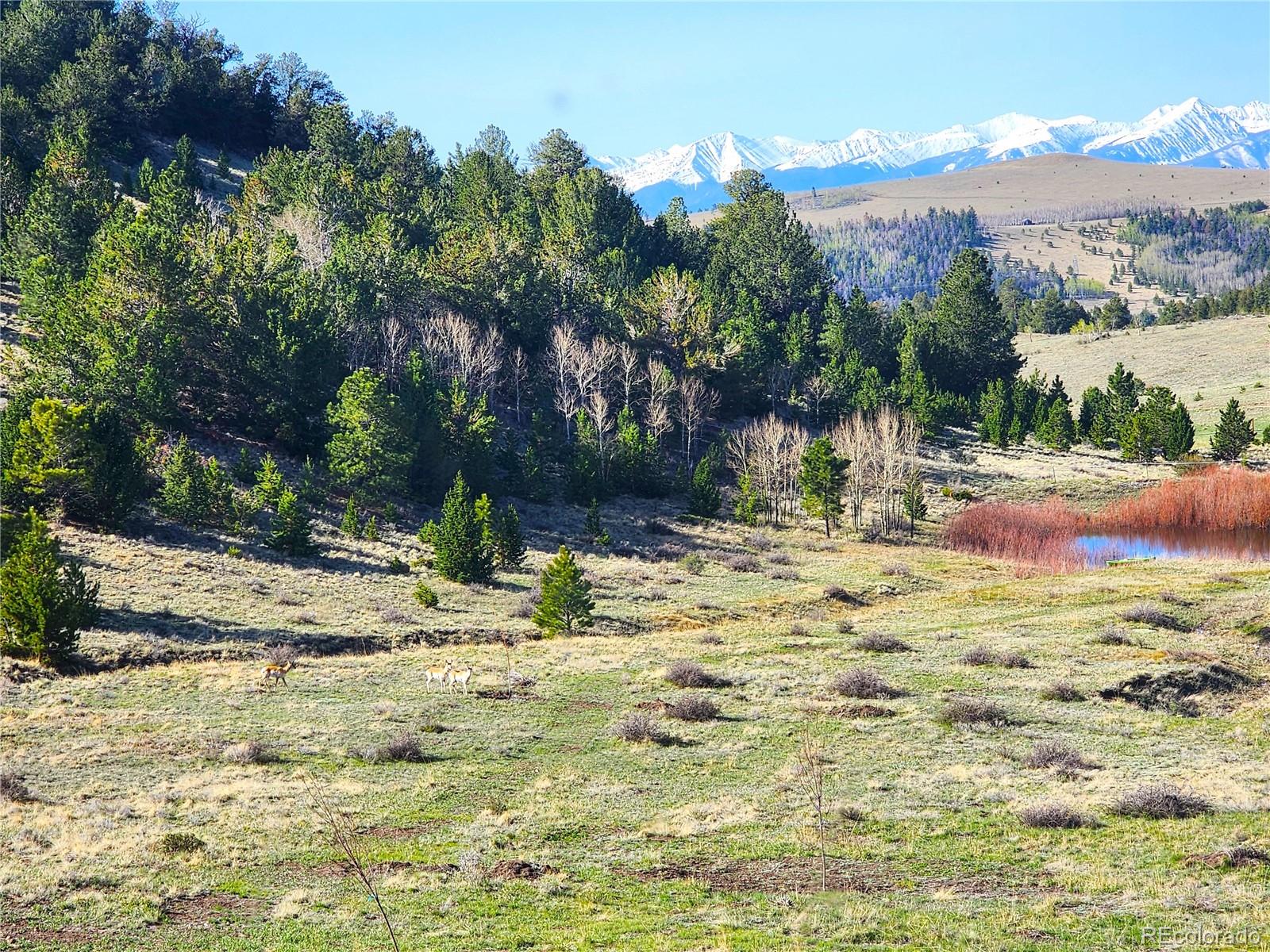 MLS Image #32 for 2611  antelope trail ,cotopaxi, Colorado