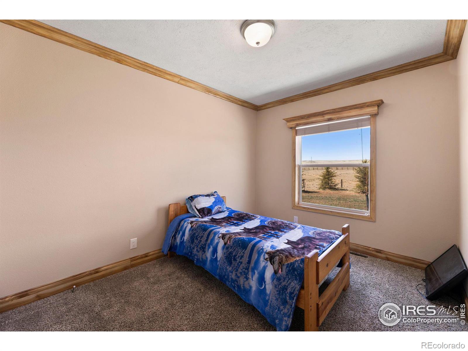 MLS Image #24 for 10010  county road 110 ,carr, Colorado