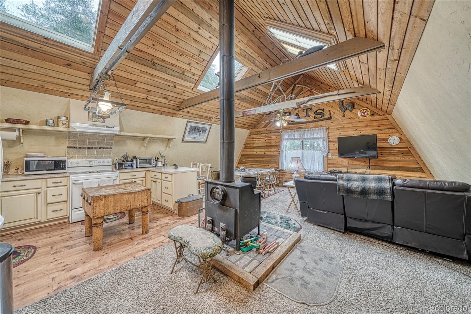 MLS Image #10 for 2128 n lodgepole circle,leadville, Colorado