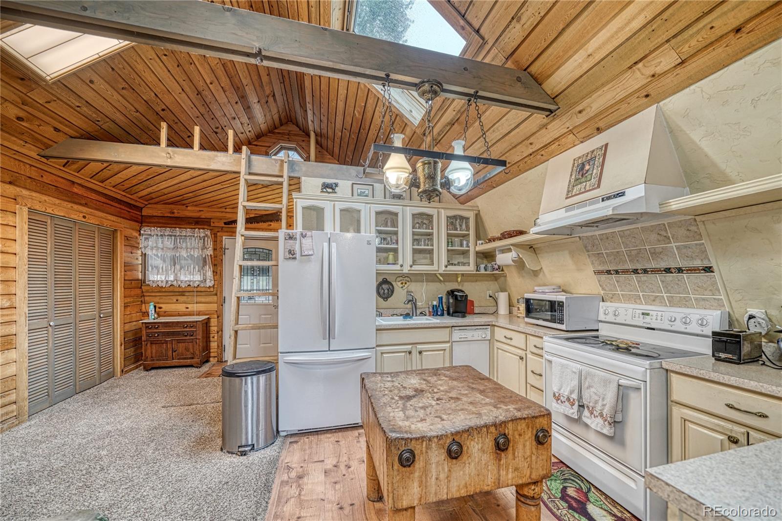 MLS Image #11 for 2128 n lodgepole circle,leadville, Colorado