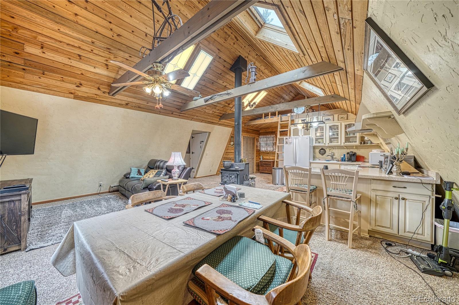 MLS Image #14 for 2128 n lodgepole circle,leadville, Colorado