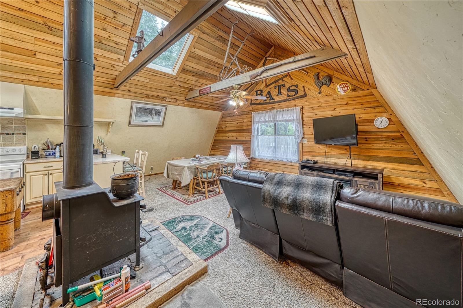 MLS Image #15 for 2128 n lodgepole circle,leadville, Colorado