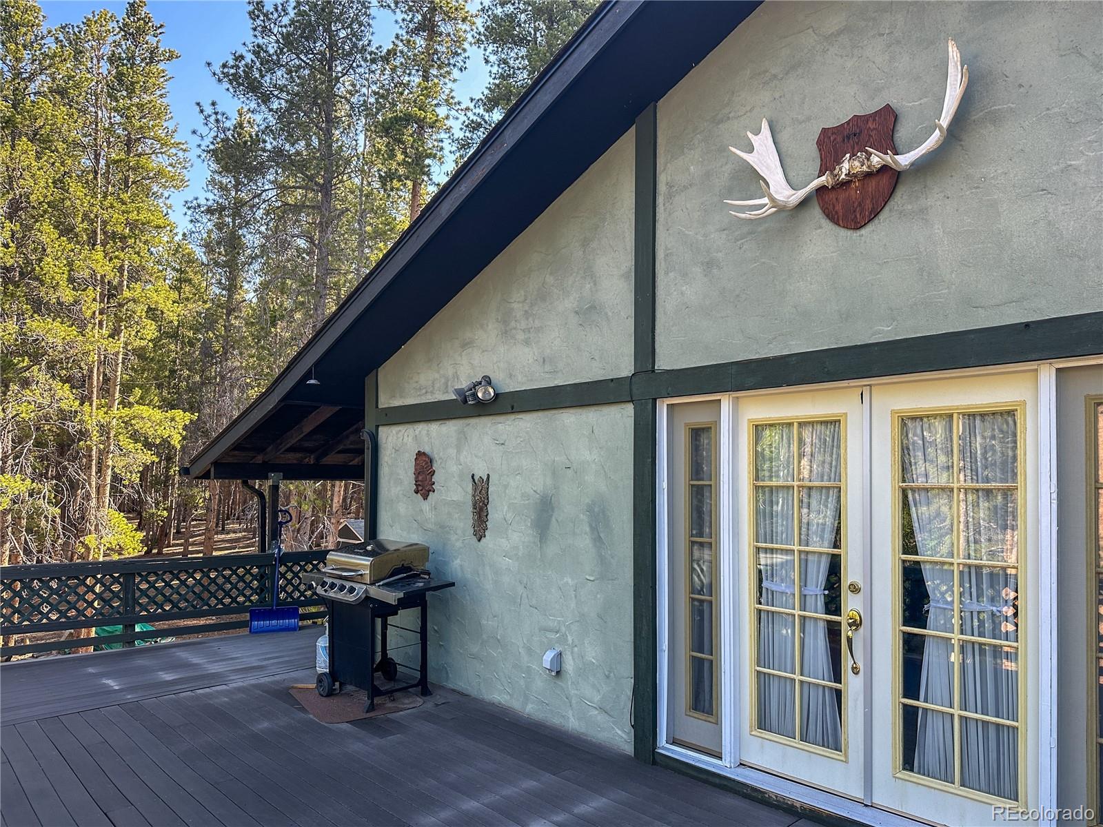 MLS Image #27 for 2128 n lodgepole circle,leadville, Colorado