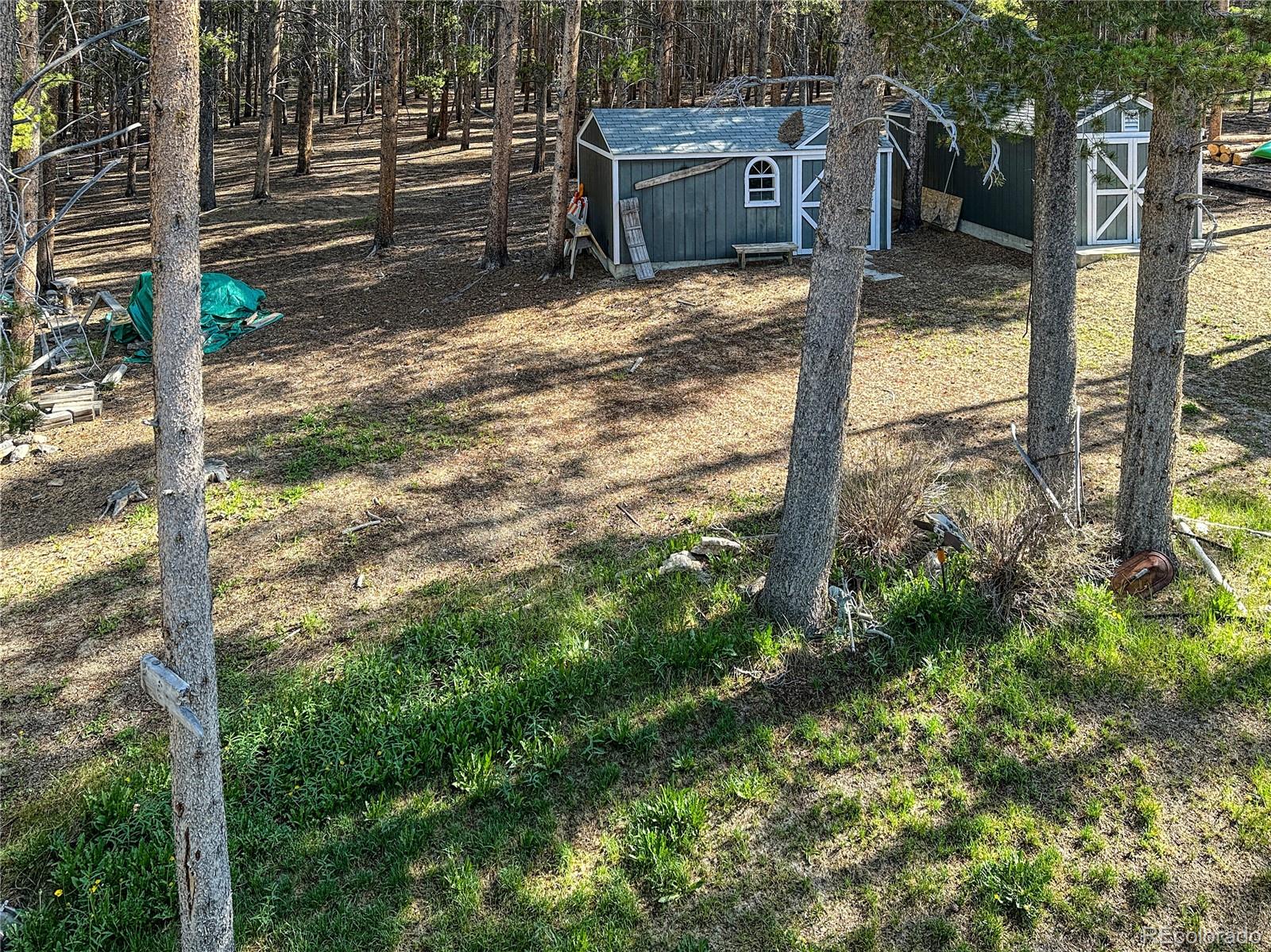 MLS Image #31 for 2128 n lodgepole circle,leadville, Colorado