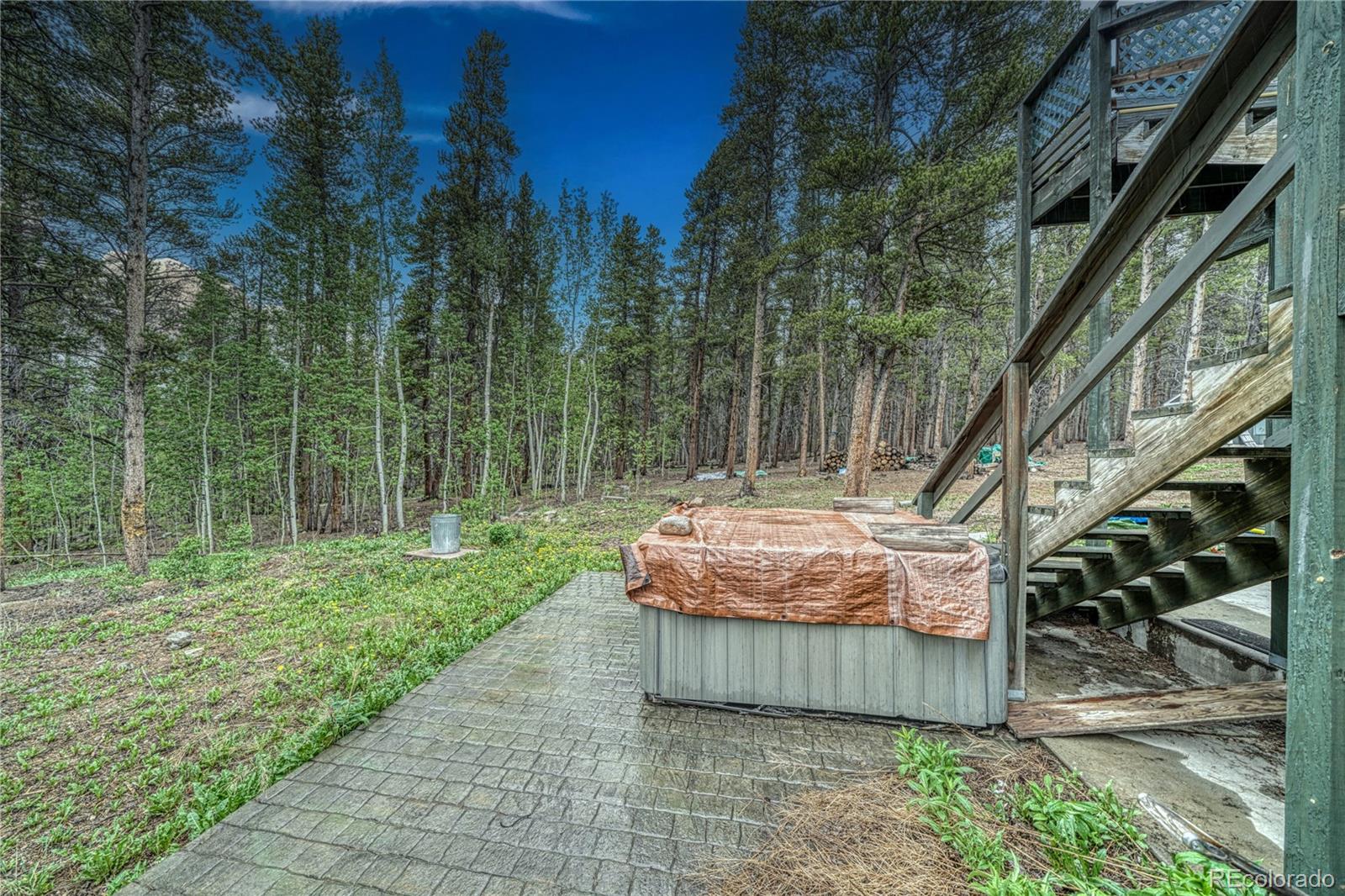 MLS Image #43 for 2128 n lodgepole circle,leadville, Colorado