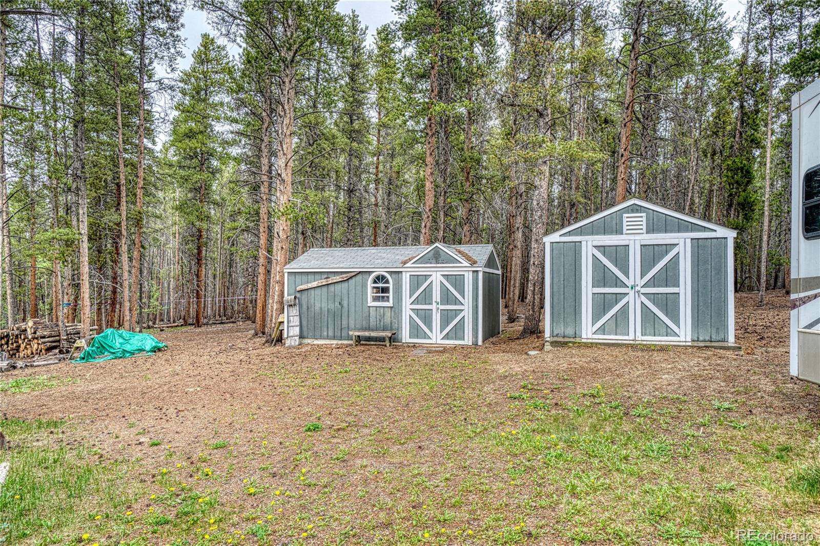 MLS Image #5 for 2128 n lodgepole circle,leadville, Colorado