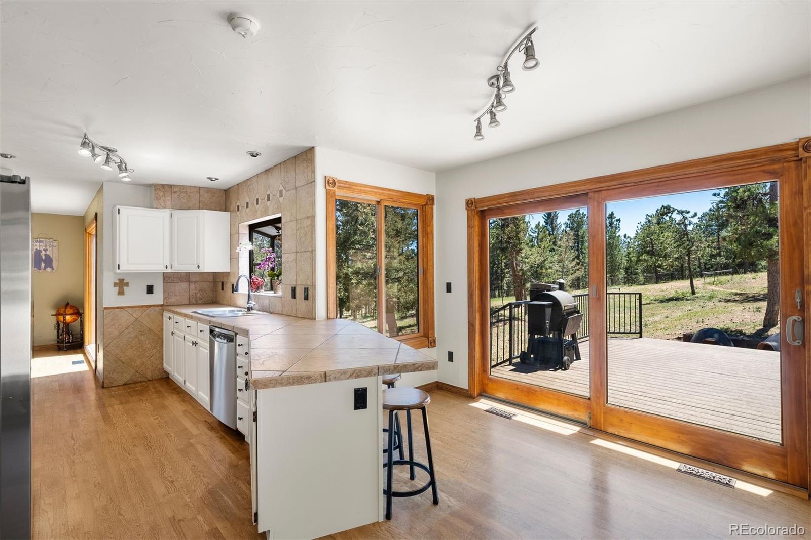MLS Image #15 for 395  gatewood court,pine, Colorado
