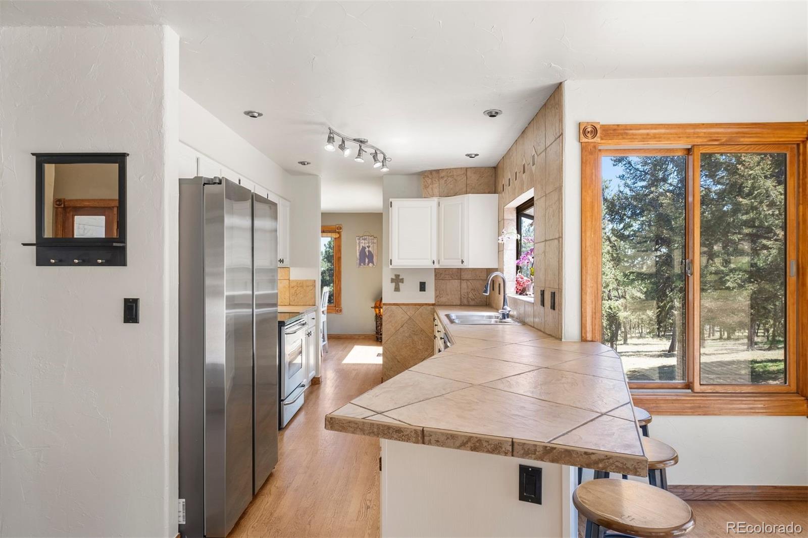 MLS Image #16 for 395  gatewood court,pine, Colorado