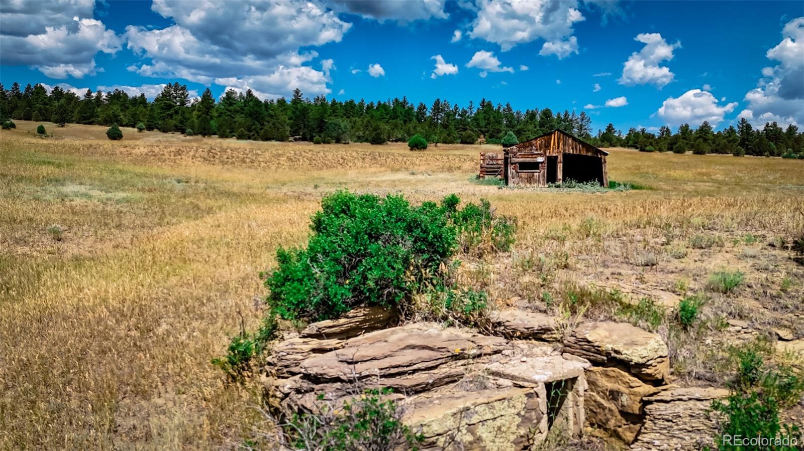 MLS Image #38 for 23055  county road 43.7 ,gulnare, Colorado