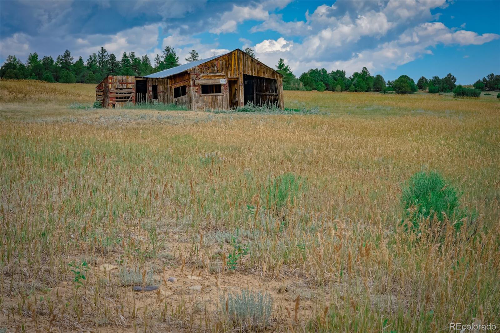 MLS Image #40 for 23055  county road 43.7 ,gulnare, Colorado