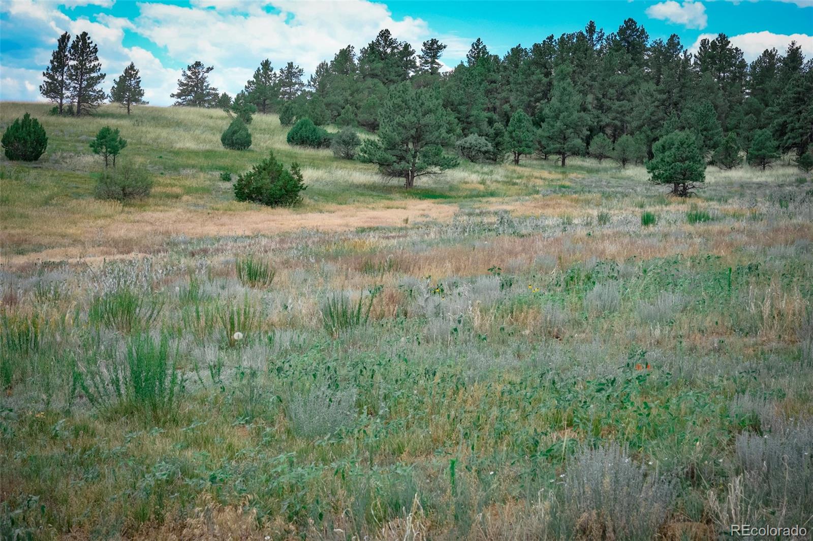 MLS Image #41 for 23055  county road 43.7 ,gulnare, Colorado