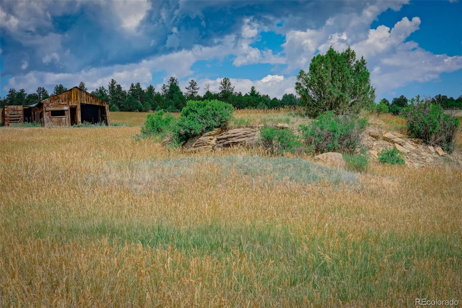 MLS Image #42 for 23055  county road 43.7 ,gulnare, Colorado