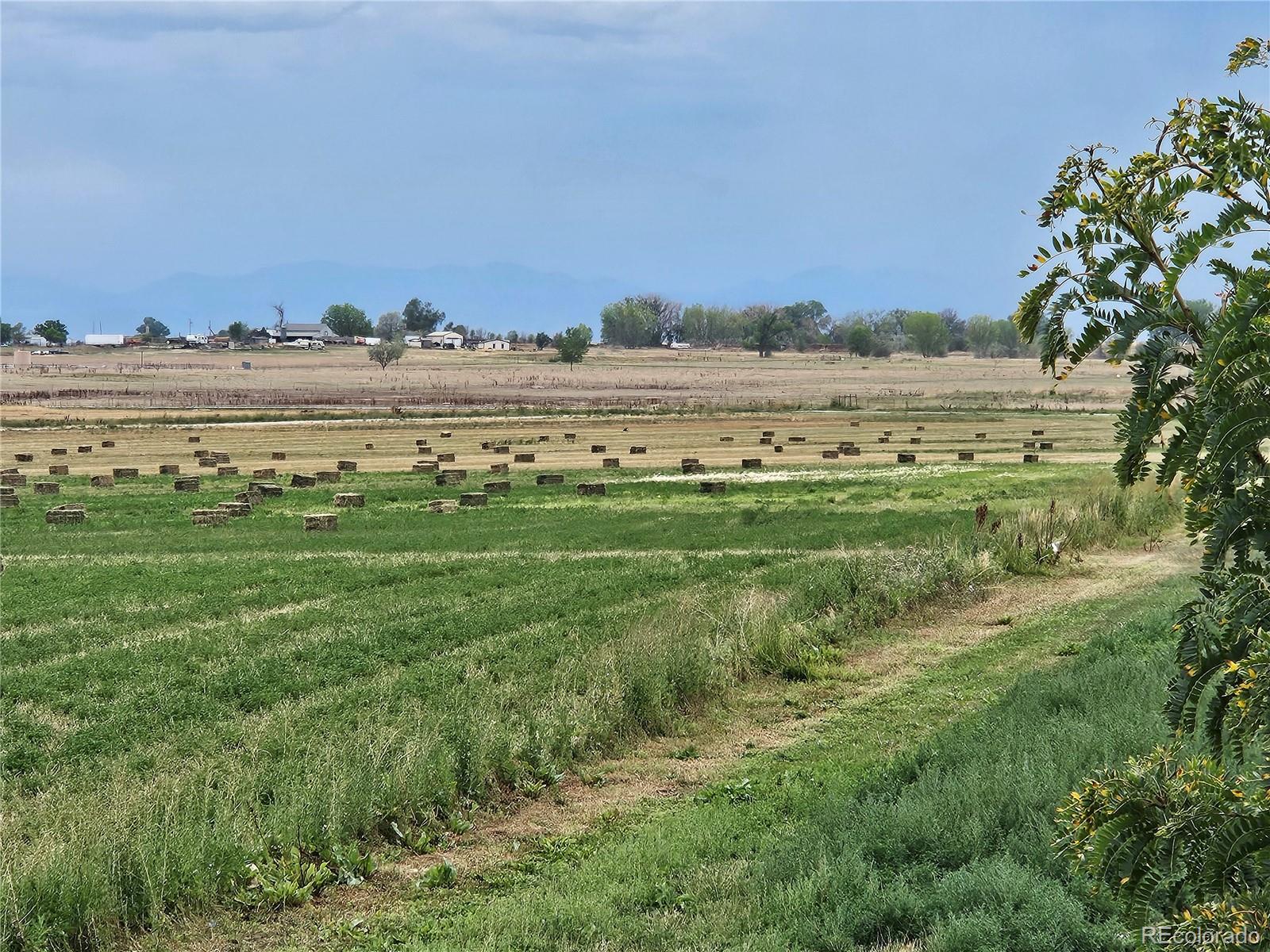 MLS Image #36 for 3647  county road 19 ,fort lupton, Colorado